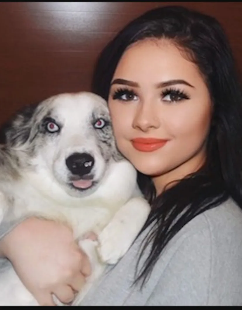 Katelyn Buckley | North State Animal & Bird Hospital